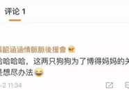 2023年娱乐圈吃瓜合集