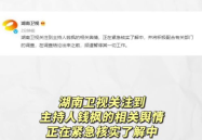 吃瓜娱乐助手,吃瓜娱乐助手带你探秘明星生活
