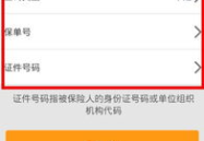 保险查询,轻松掌握保单信息